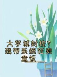 大学城封校？我带系统狂卖盒饭全文免费试读(陈羽冯诗雅) 完结版