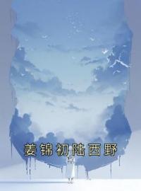 姜锦初陆西野小说章节目录 《姜锦初陆西野》全文阅读