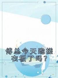 《傅总今天跪搓衣板了吗？》江沅傅宴辞全文阅读