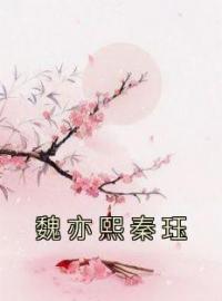 魏亦熙秦珏免费试读(魏亦熙秦珏小说全本资源) 无广告