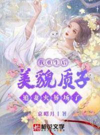 《我重生后，美貌质子追妻火葬场了》小说完整版在线阅读（主角南宫昭慕容煜）