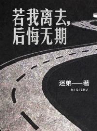 主角叫肖大军徐璐的小说是什么 若我离去，后悔无期全文免费阅读