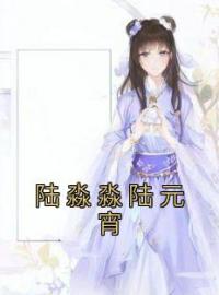 《陆淼淼陆元宵》陆淼淼陆元宵小说全文免费试读