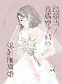 冯明远徐娇娇小说章节目录 结婚当天我妈穿了婚纱，媳妇闹离婚全文阅读