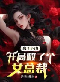 高手下山，开局救了个女总裁(陈凡林小婷)全文完结在线阅读完整版