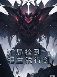 开局捡到一把生锈得剑全文免费试读(林峰杨二丫) 完结版