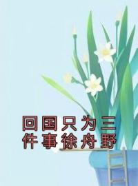 回国只为三件事徐舟野周茉徐舟野小说全本在线阅读