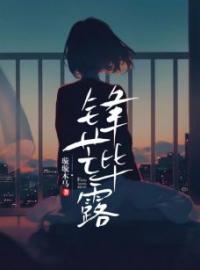 锋芒毕露(夏初沈修瑾)全文完结在线阅读完整版