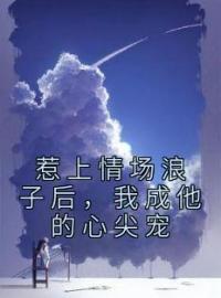 惹上情场浪子后，我成他的心尖宠完整全文阅读 姜婉陆怀启小说结局无删节