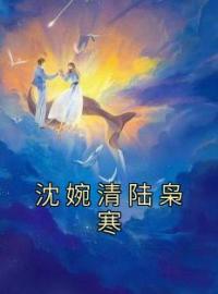 《沈婉清陆枭寒》小说完整版在线阅读（主角沈婉清陆枭寒）