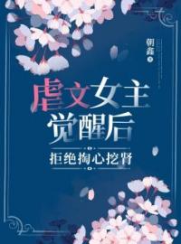 小说《虐文女主觉醒后，拒绝掏心挖肾》苏琳霍鸿全文免费试读