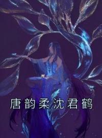 唐韵柔沈君鹤周佳怡秦振鸿小说全文免费试读