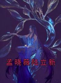 孟晓薇陆立新全章节免费在线阅读 周佳怡秦振鸿小说完结版