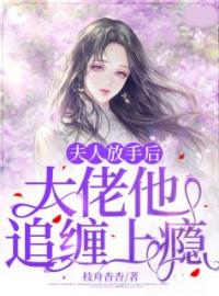 《夫人放手后，大佬他追缠上瘾》小说完整版在线阅读（主角陆舒秦泊简）