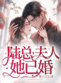 《陆总，夫人她已婚》季染陆时谦小说精彩章节在线阅读