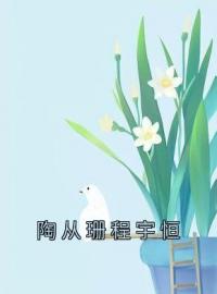 司慕晚傅桓宇小说章节目录 《陶从珊程宇恒》全文阅读