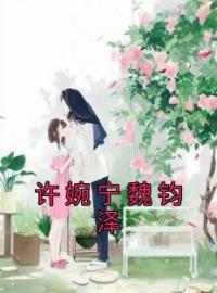 许婉宁魏钧泽by许婉宁魏钧泽完整版 许婉宁魏钧泽小说全集在线阅读