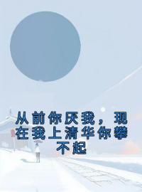 从前你厌我，现在我上清华你攀不起完整版 林言欢舅舅全章节阅读