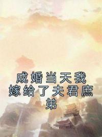 成婚当天我嫁给了夫君庶弟完整版 宋熙宁孟一川全章节阅读