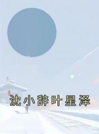 沈小辞叶星泽全文免费试读(沈小辞叶星泽) 完结版