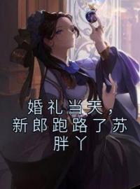 《婚礼当天，新郎跑路了苏胖丫》小说完整版在线阅读（主角苏小小秦沧阑）