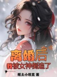 离婚后，我被女神倒追了小说完整版在线阅读（主角叶天策肖倾城）