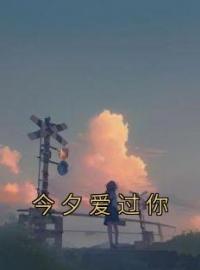 许天晴齐斯礼小说章节目录 《今夕爱过你》全文阅读