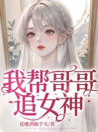 我帮哥哥追女神全文免费试读(陈斯月陈斯年) 完结版