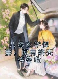 田莳泠杨宗德小说大结局在线阅读 《八零玄学悍妻，家有娇夫待签收》小说免费试读