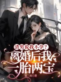 《渣男说我不孕？离婚后我一胎两宝》小说全集免费在线阅读（宁蓁傅砚承）