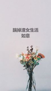 《踹掉渣女生活如意》小说完整版在线阅读（主角叶南尘苏盈）