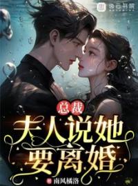 总裁，夫人说她要离婚(顾倾城连城)全文完结在线阅读完整版