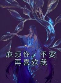 麻烦你，不要再喜欢我宋晚笙傅叙言江流风全文在线免费试读