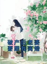 破产后老婆要跟我离婚(孙露陈明)全文完结在线阅读完整版