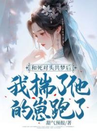 小说《和死对头共梦后，我揣了他的崽跑了》沈献音赫连丞全文免费试读