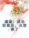 虐渣：成功和离后，夫君疯了