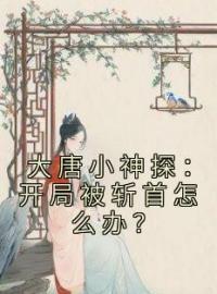 宋真夏荷小说章节目录 《大唐小神探：开局被斩首怎么办？》全文阅读