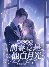 溺爱无疾：前妻竟是他白月光(温旎叶南洲)全文完结在线阅读完整版