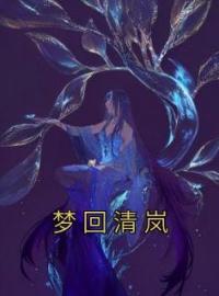 代丽丽纪云小说叫什么_梦回清岚小说