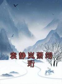 袁静岚萧翊珩(萧翊珩袁静岚)全文完结在线阅读完整版