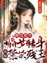 陆晚晴君炎珩小说《撕毁婚契！嫡女转身改嫁禁欲残王》全文及大结局精彩试读