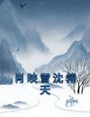 肖映雪沈翎天