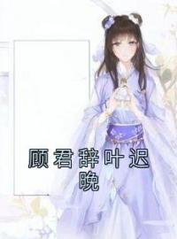 顾君辞叶迟晚全本资源 叶迟晚顾君辞完整未删减版