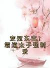 宠冠东宫：霸道太子强制爱