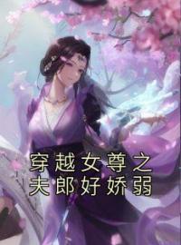 小说《穿越女尊之夫郎好娇弱》林苒石景全文免费试读