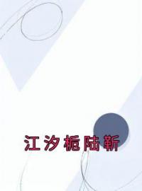 江汐栀陆靳小说《江汐栀陆靳》全文及大结局精彩试读