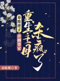 《养废逆子！虐翻婆家！重生主母杀疯了》温婉芸齐徊小说全文免费试读