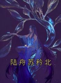 陆舟苏矜北完整小说目录在线阅读 (苏矜北陆舟) 大结局无弹窗