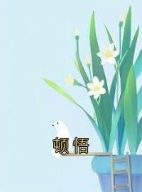 《顿悟》小说全文精彩章节在线阅读（萧尧宋清歌）