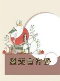 《盛无言许静》小说全集免费在线阅读（许静盛无言）